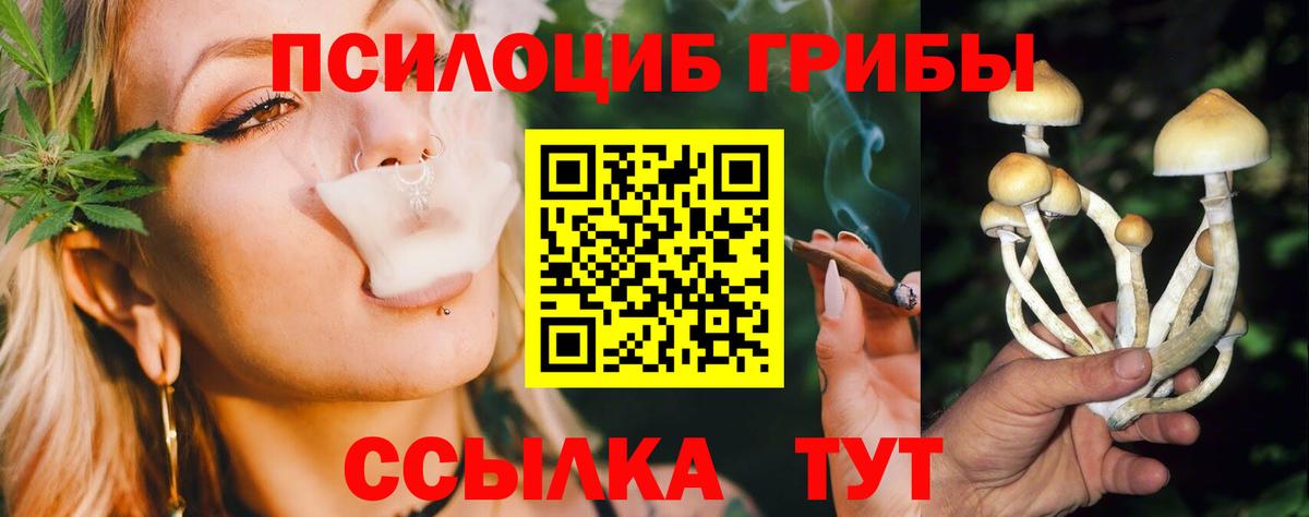 Дубна  Псилоцибиновые грибы GOLDEN TEACHER  Вход с VPN  хочу   Псилоцибиновые грибы Magic Shrooms 